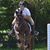 Rachel Dougherty's profile image