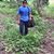 Juan De Dios Garcia's profile image