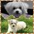 Colleen Mangan Jackson's profile image