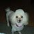 Kelley Magrini's profile image