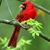 Mary Hernandez's profile image