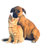 Dubberly L.'s profile image