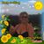 Sandy Morris's profile image