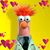 Rob Rod's profile image