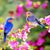 Alicja S.'s profile image