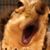 Amanda Lee's profile image