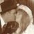 Bettina Pashea's profile image