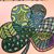 Jen Daly-Martin's profile image