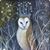 Ann Palmer Stephenson's profile image