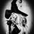 Brandi Noel's profile image