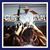Kim Brunstein's profile image