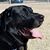 Bruce Turner's profile image