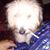 Greg Crider's profile image