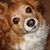Jennifer Griffin's profile image