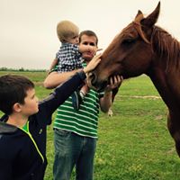 Philip Wood's profile image