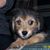 Joan Hunter's profile image