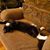 Donna Desjardins's profile image