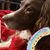 Cheyenne Chantne Carpenter's profile image