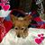 Teri Prochaska's profile image