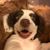 Vickie Smith's profile image