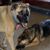 Donna Quinn's profile image