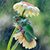 Karla L Haak's profile image