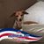 Lisa Richerson McClanahan's profile image