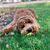 Peggy Belton's profile image
