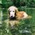 Nicole Tonkin Dixon's profile image