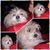 Johnny Buckallew Stroud's profile image