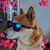 Robin Kelly's profile image