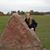 Julianna Hawes's profile image