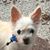 Linda Woodruff Hatcher's profile image