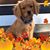 Caryl Conley's profile image