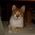 Elizabeth Garcia Estevez's profile image