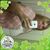 Patty Mae Propes's profile image
