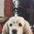 Doug Smith's profile image