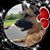 Sarah Finger's profile image