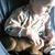 Debbie Biggs Powell Tucker's profile image