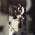 Javen Smith's profile image