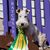 Sue Kendall's profile image