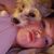 Amy Brito's profile image