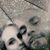Jennifer Lynn Johnson's profile image