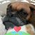 Billy Preis's profile image