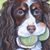 Jo Huseman's profile image