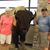 Sharon Bordner Bittle's profile image