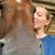 Shelby VanHoosier's profile image