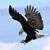 David Proebstel's profile image