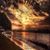 David Wert's profile image