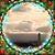 Cindy Lambert Rorie's profile image